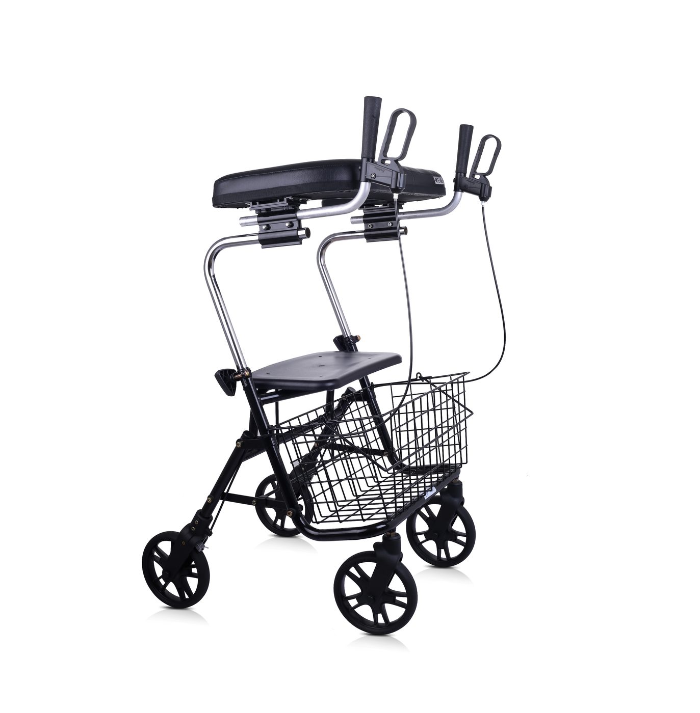 Evolution Platform System