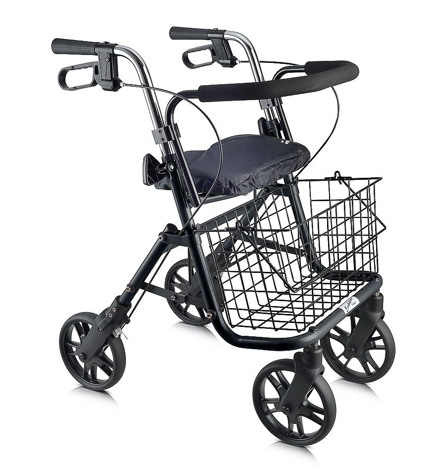 Evolution Walker