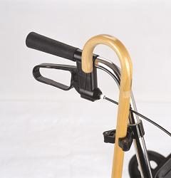Cane Holder Accessory