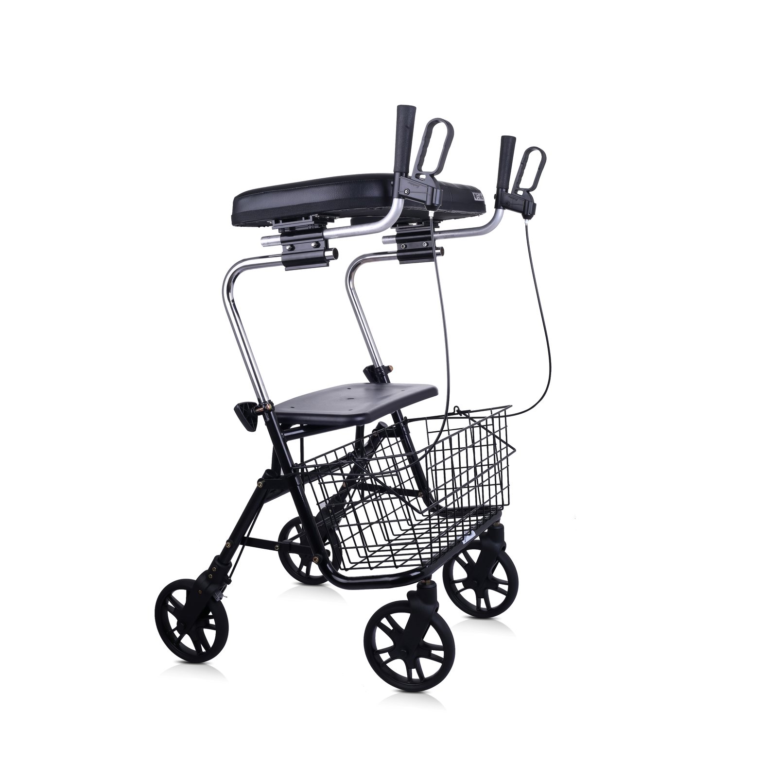 Evolution Platform System