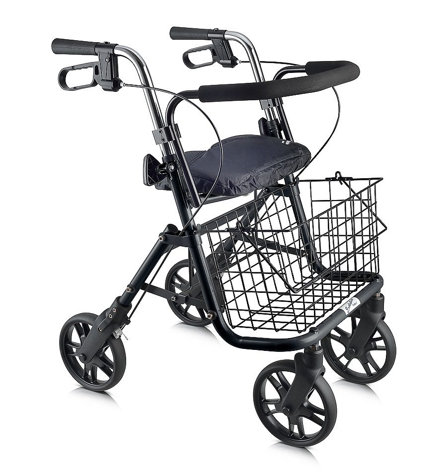 Evolution Walker